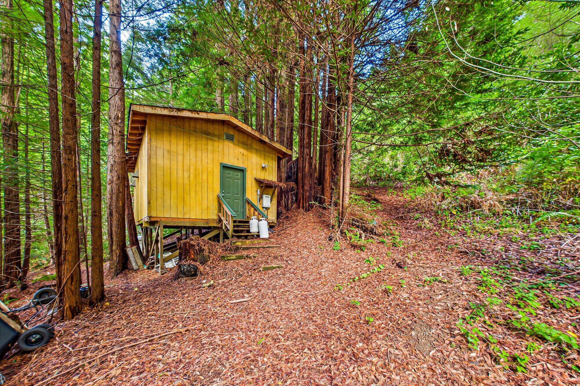 220 Madrone Road Weott, CA 95571 - Photo 33 of 35