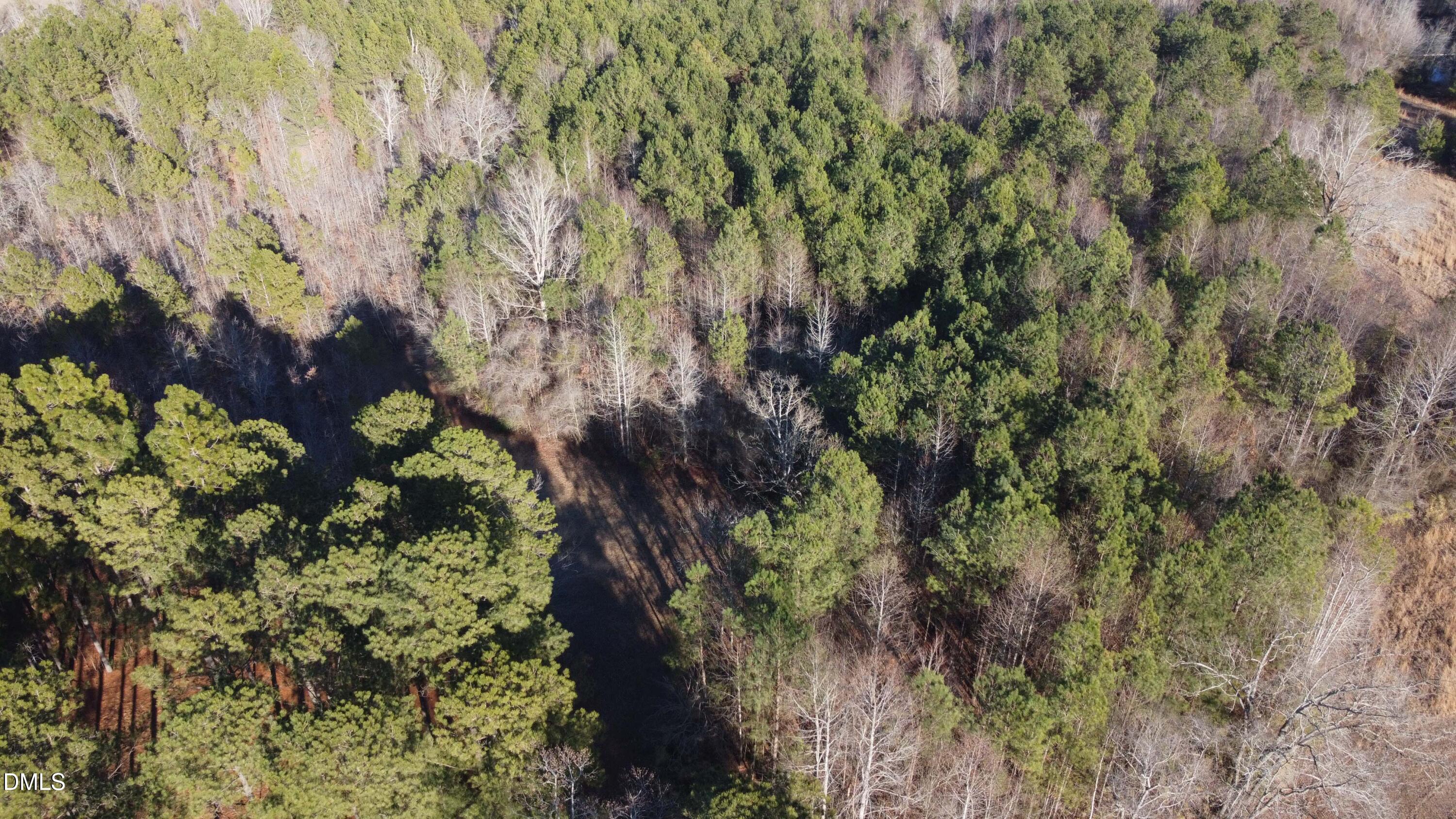 Lot 7 Docs Road Lillington, NC 27546 - Photo 3 of 4 Gallery Image 3