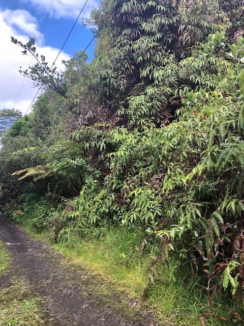 11 Maui Road Mountain View, HI 96771 - Photo 3 of 4 Gallery Image 3
