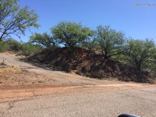 901-903 Calle Mateos Rio Rico, AZ 85648 - Photo 2 of 3