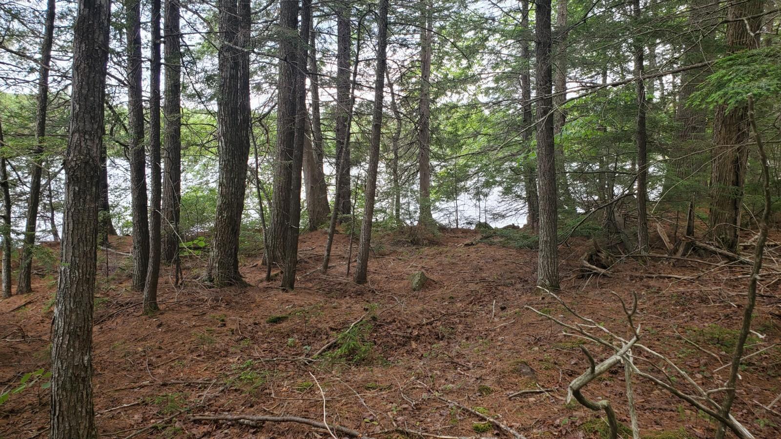 7 Trails End Road Lincoln, ME 04457 - Photo 13 of 15 20210701_135319