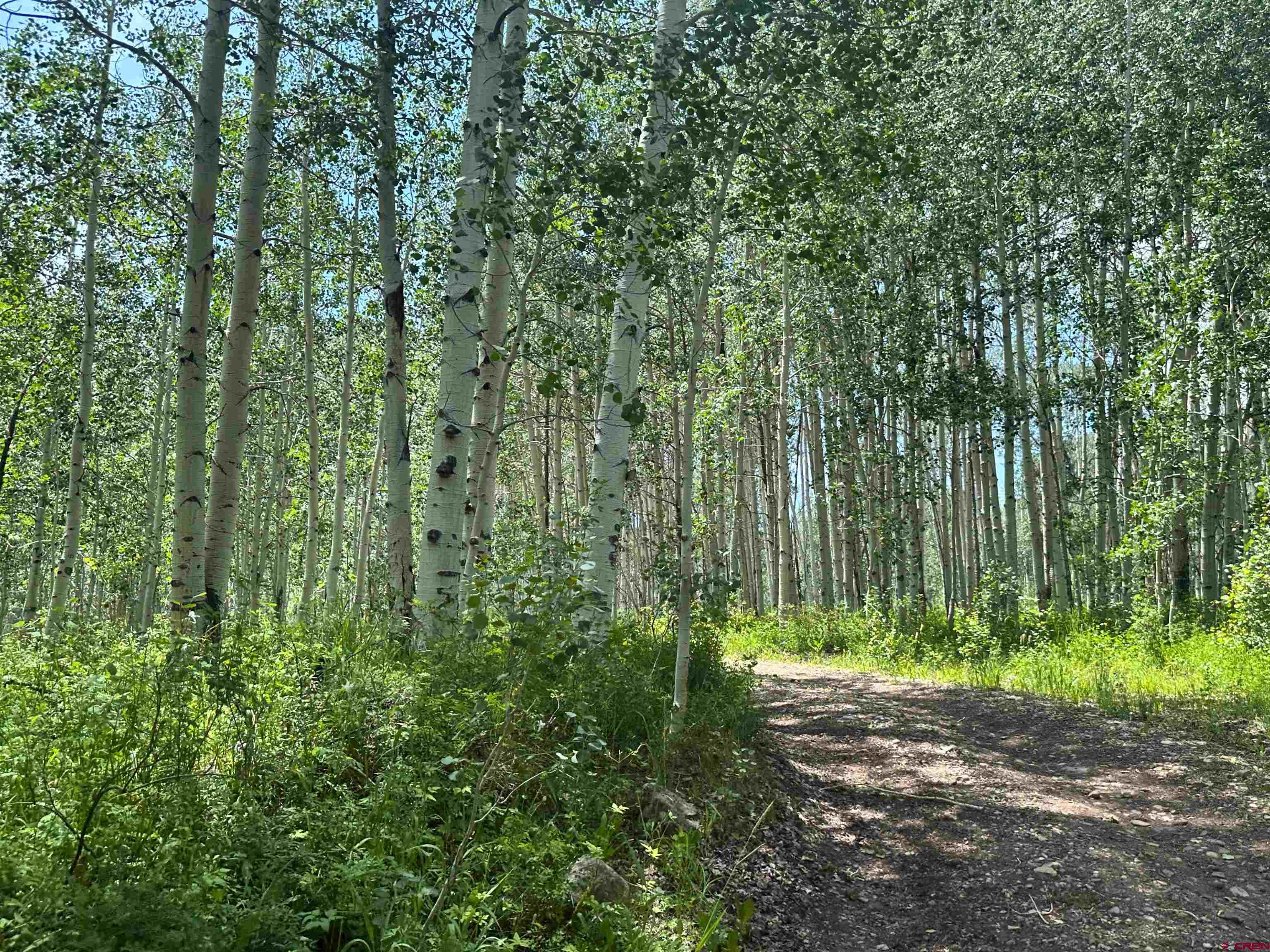 37081 Roatcap Road Paonia, CO 81428 - Photo 24 of 35