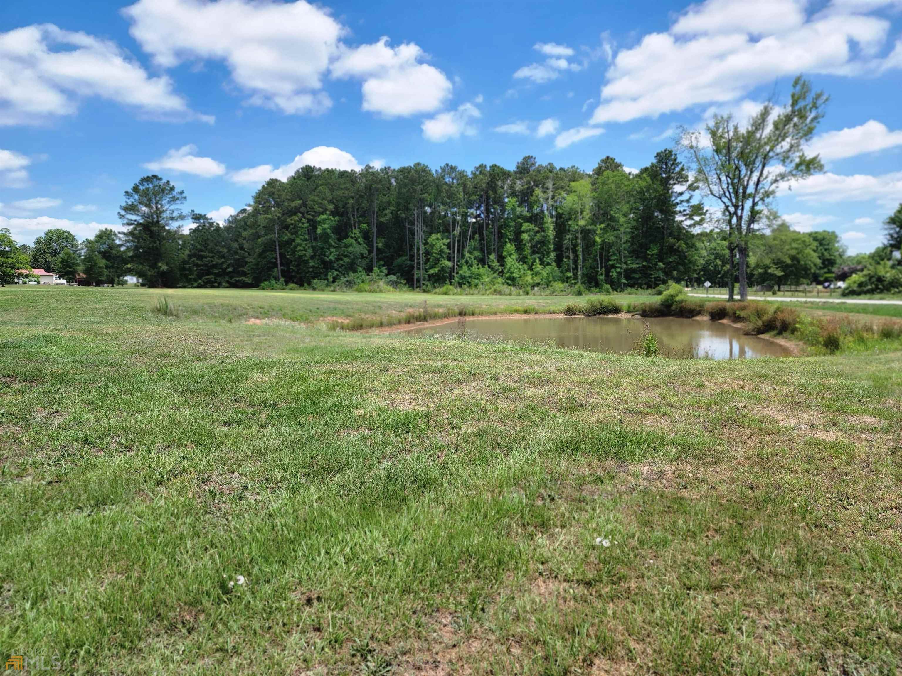 0 Blanton Mill Road Williamson, GA 30292 - Photo 1 of 1 Gallery Image 1