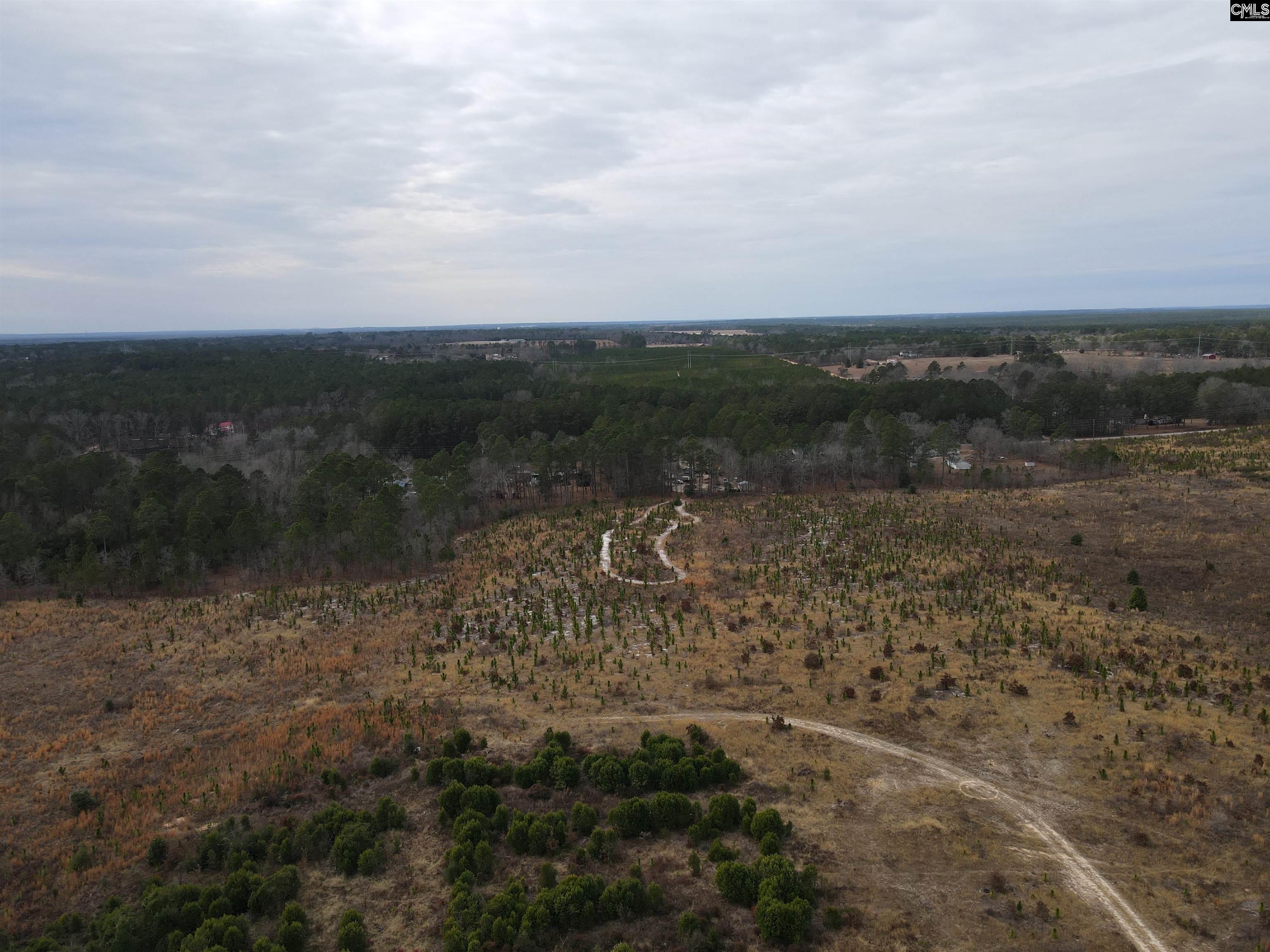 19 Holland Road Lugoff, SC 29078 - Photo 10 of 14
