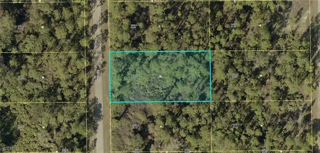 a view of a small yard