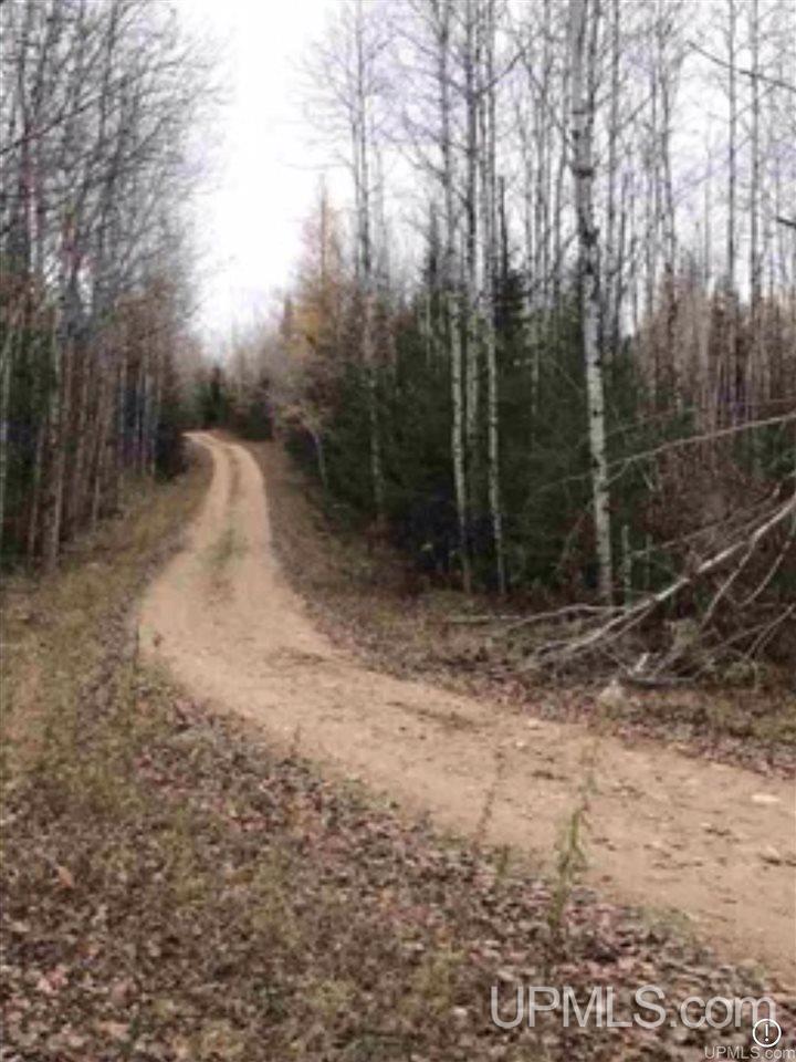 Tbd River Road, Unit 4 Powers, MI 49874 - Photo 1 of 5