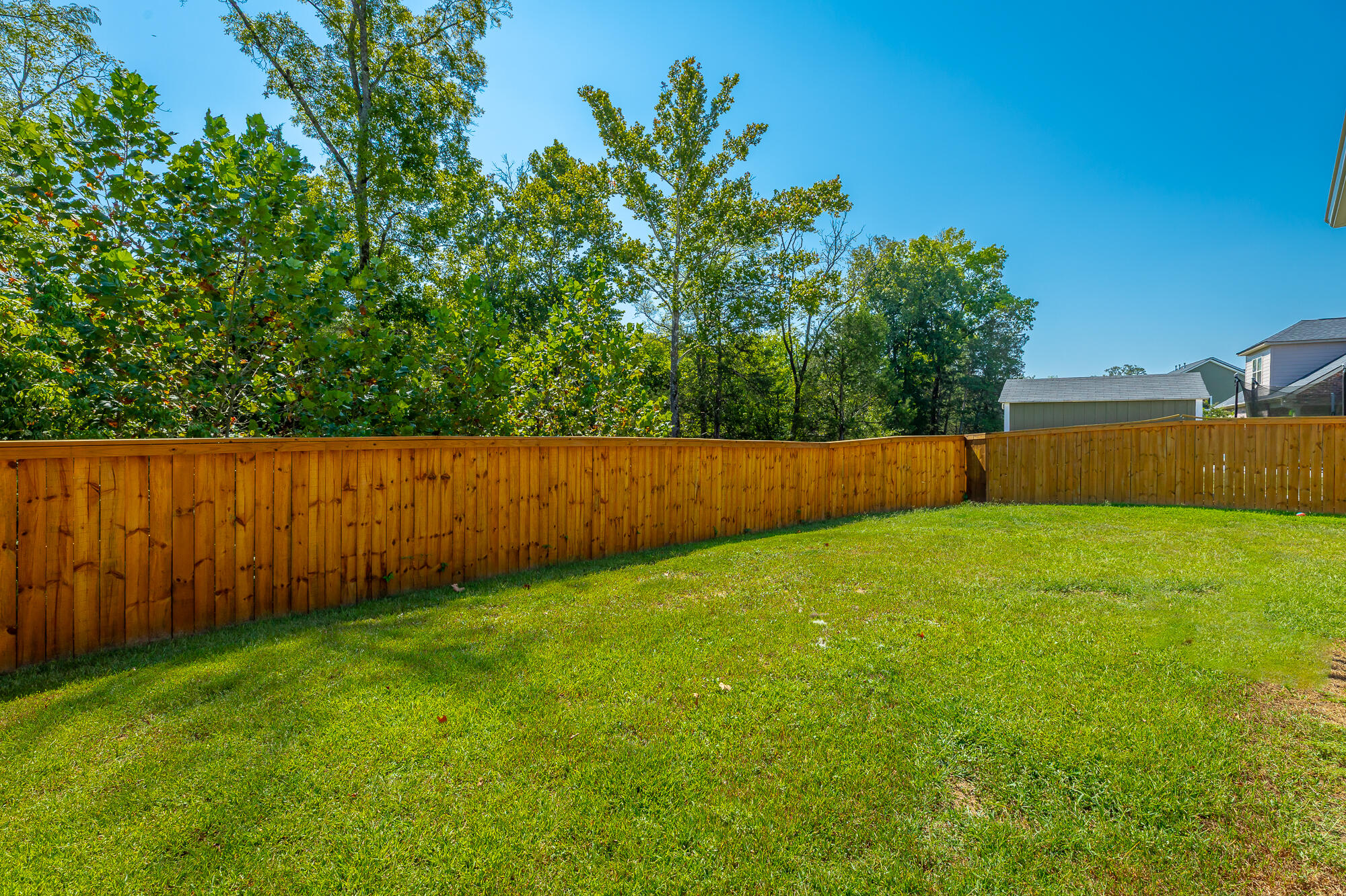 1714 Buttonwood Loop Chattanooga, TN 37421 - Photo 24 of 79 1714 Buttonwood Loop HD-62
