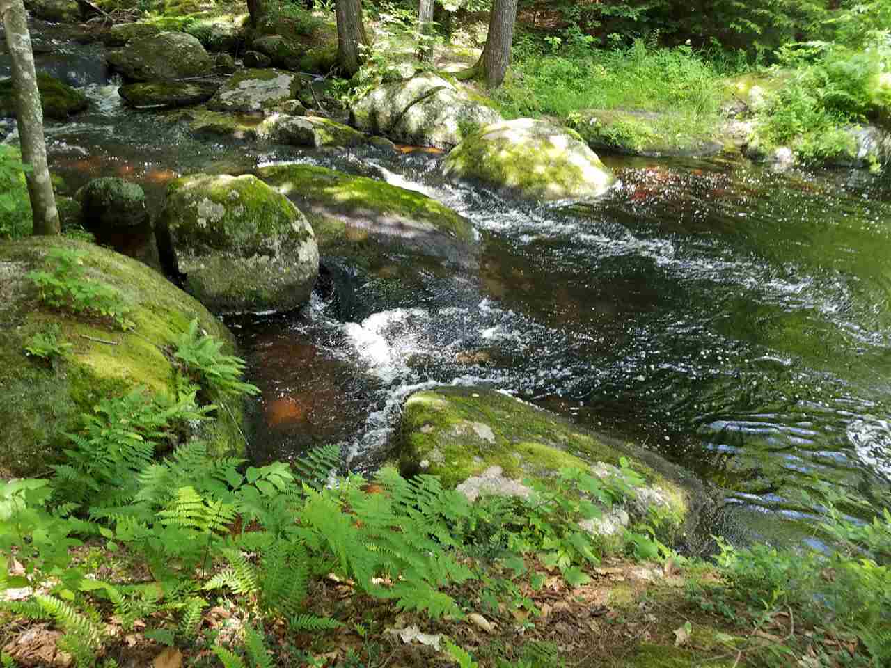 Lot 13 Miller Road Windsor, NH 03244 - Photo 2 of 14