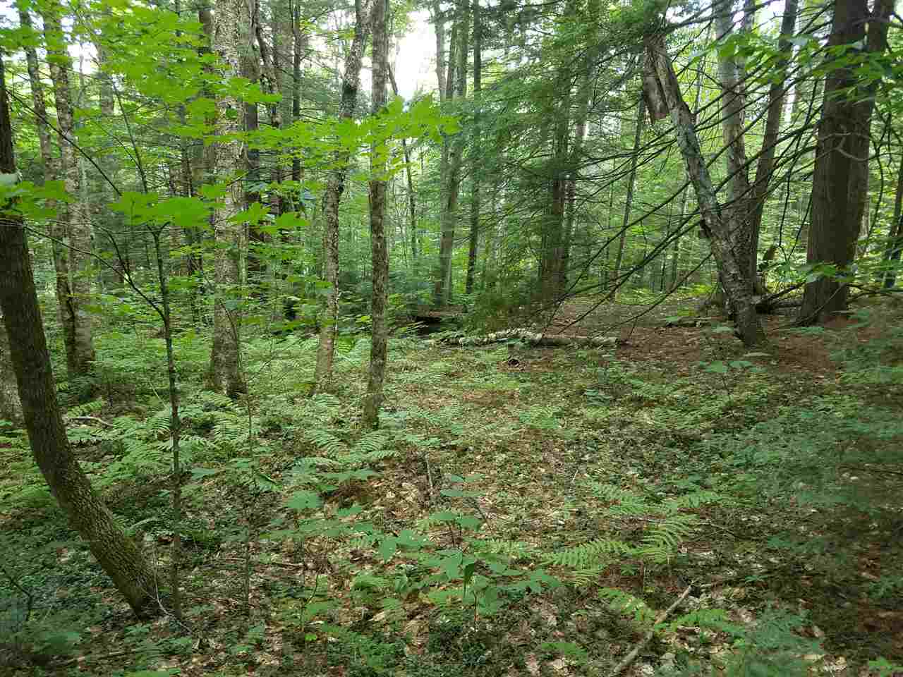 Lot 13 Miller Road Windsor, NH 03244 - Photo 4 of 14