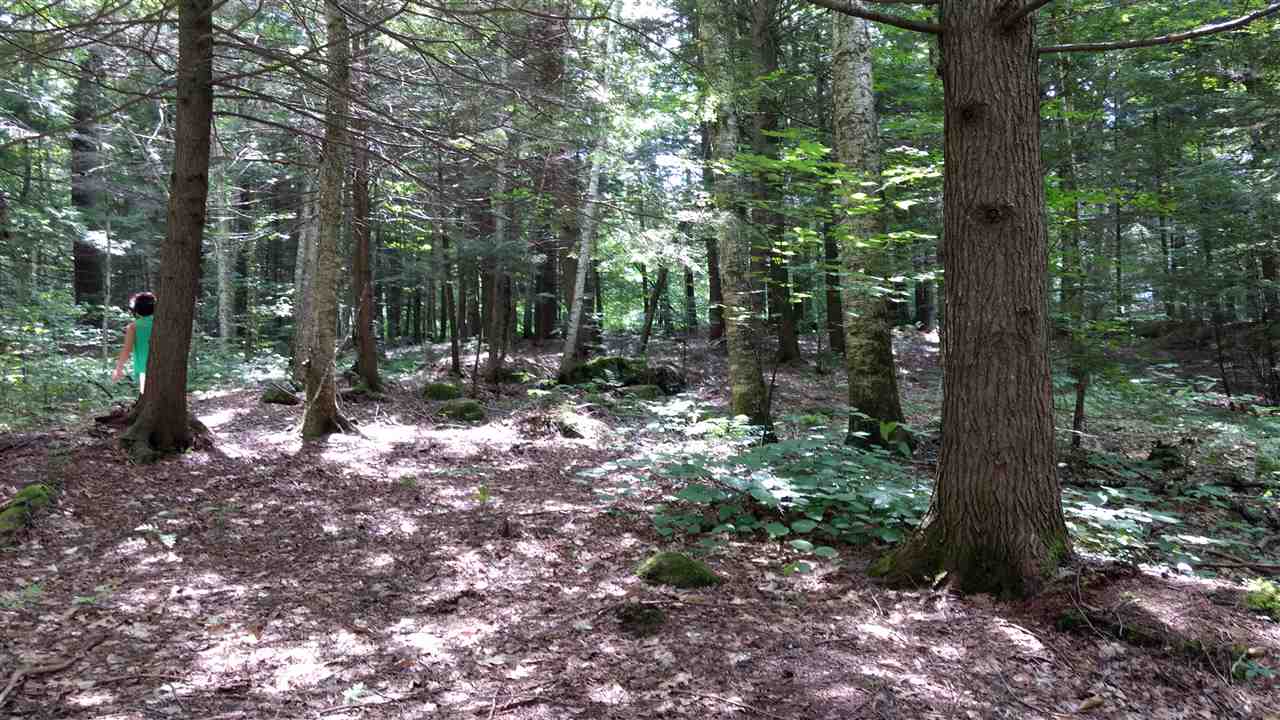 Lot 13 Miller Road Windsor, NH 03244 - Photo 9 of 14