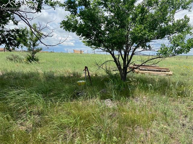 6451 South Johnson Road Rush, CO 80833 - Photo 38 of 46 Second Water Spigot on Property located on West Side of Building