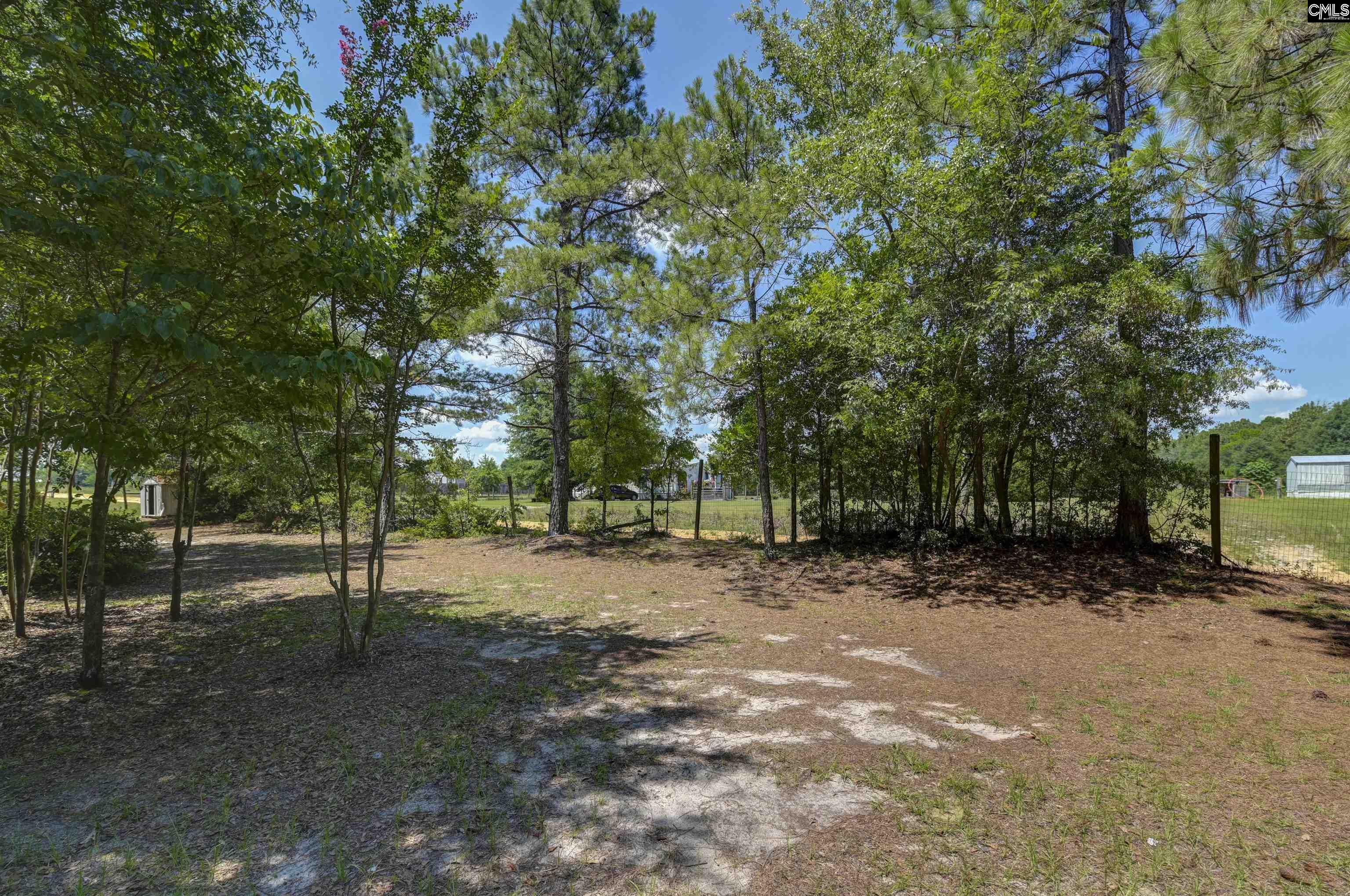 416 Otis Road Pelion, SC 29123 - Photo 2 of 48