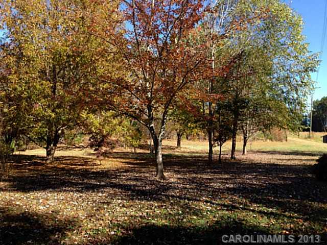 3400 Holden Road Lancaster, SC 29720 - Photo 9 of 14 a view of a yard with a tree