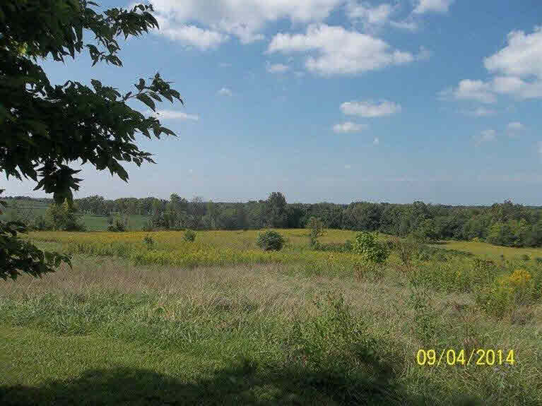 7022 North Kossuth Road Salem, IN 47167 - Photo 2 of 26 Gallery Image 2