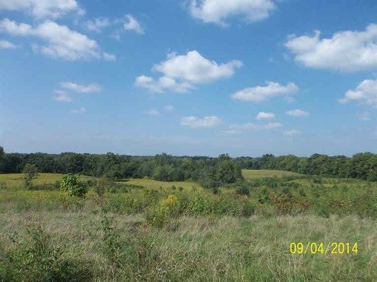 7022 North Kossuth Road Salem, IN 47167 - Photo 3 of 26 Gallery Image 3