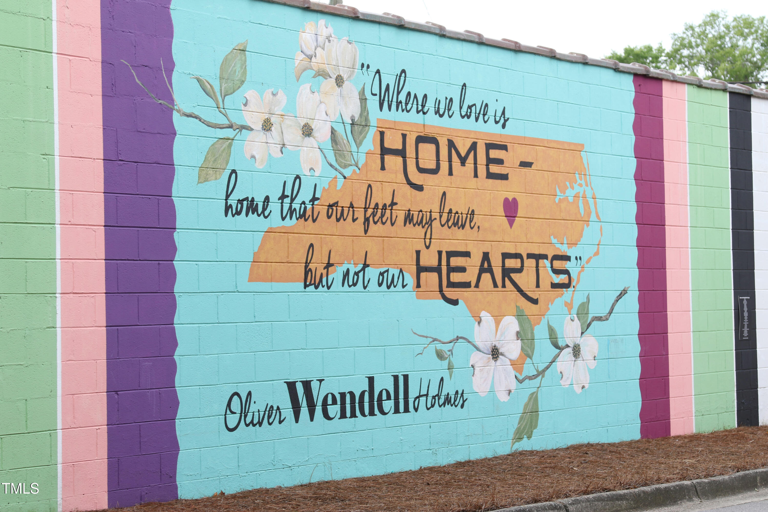 257 Douglas Falls Drive Wendell, NC 27591 - Photo 32 of 34 a sign on the side of a building