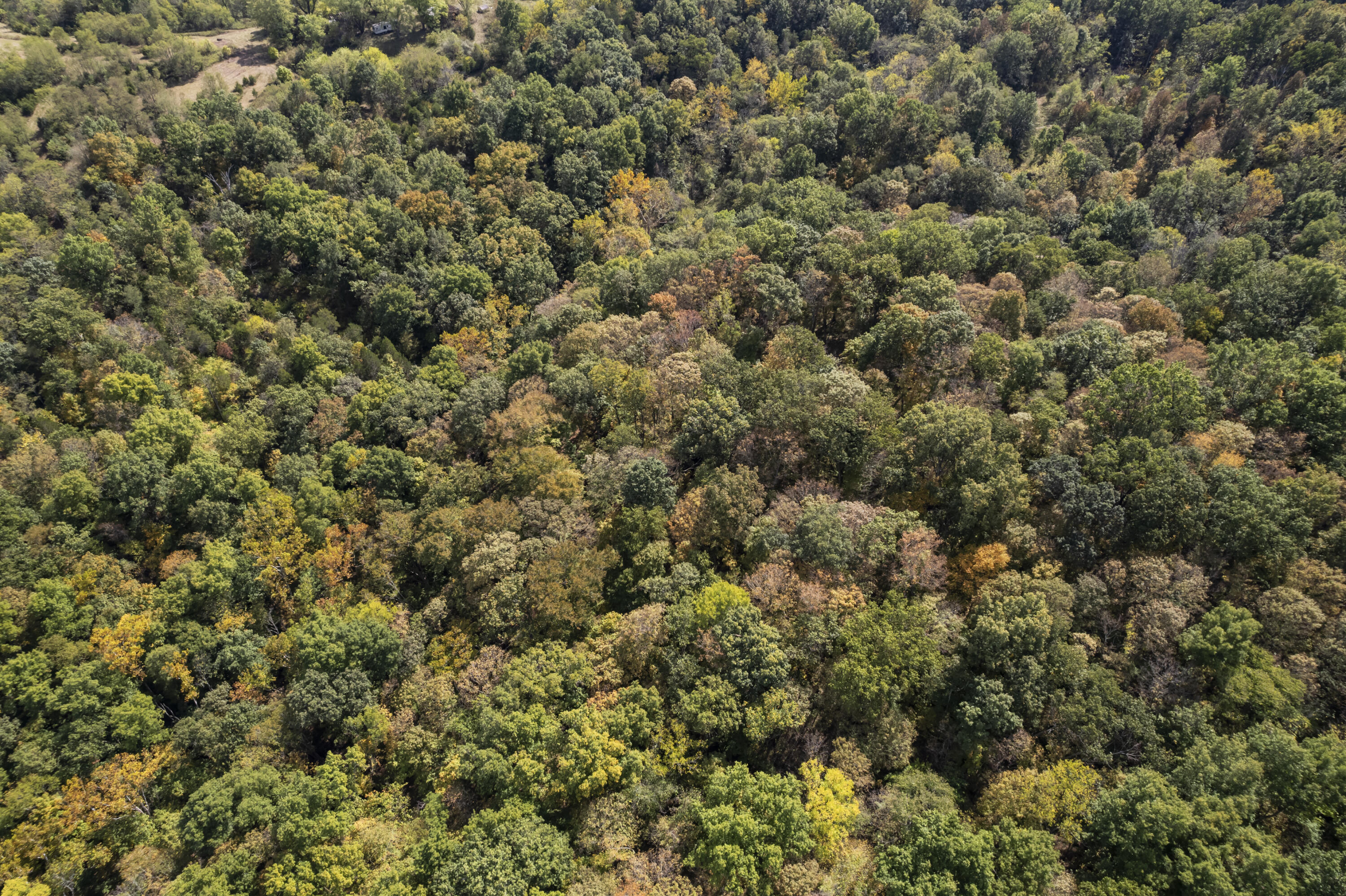 77-ac Clarks Crk Road Dry Ridge, KY 41035 - Photo 22 of 31