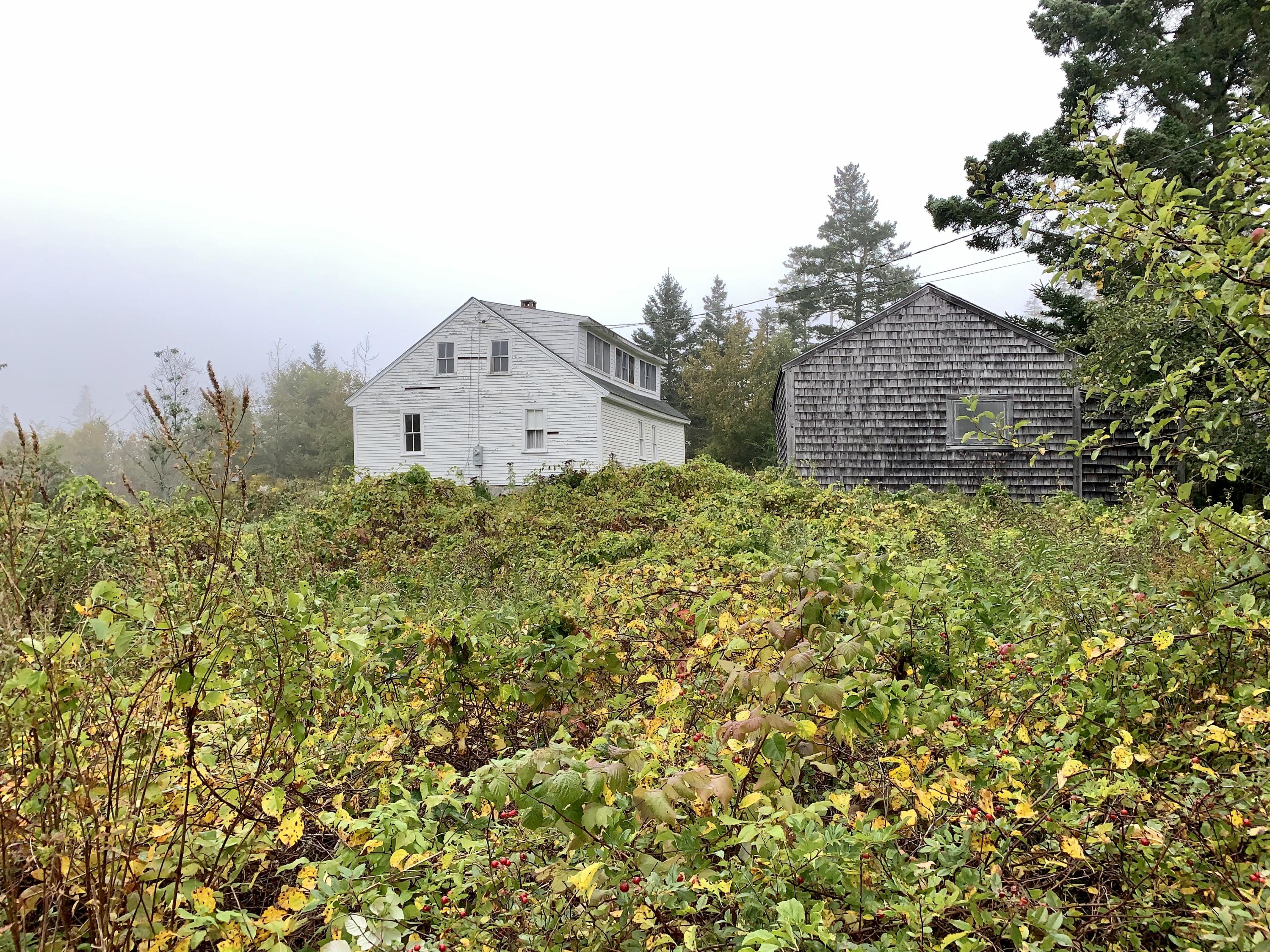 57 Marshall Point Road Tenants Harbor, ME 04860 - Photo 5 of 26 Pictureque