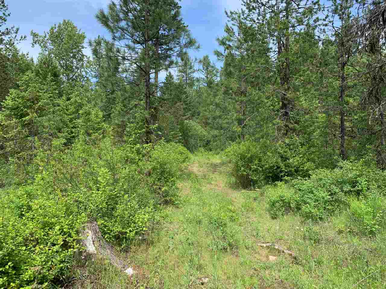 41-xx Springdale-Hunters Road Springdale, WA 99173 - Photo 1 of 18