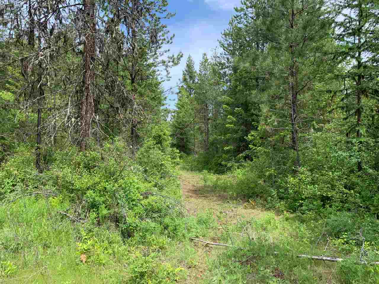 41-xx Springdale-Hunters Road Springdale, WA 99173 - Photo 2 of 18