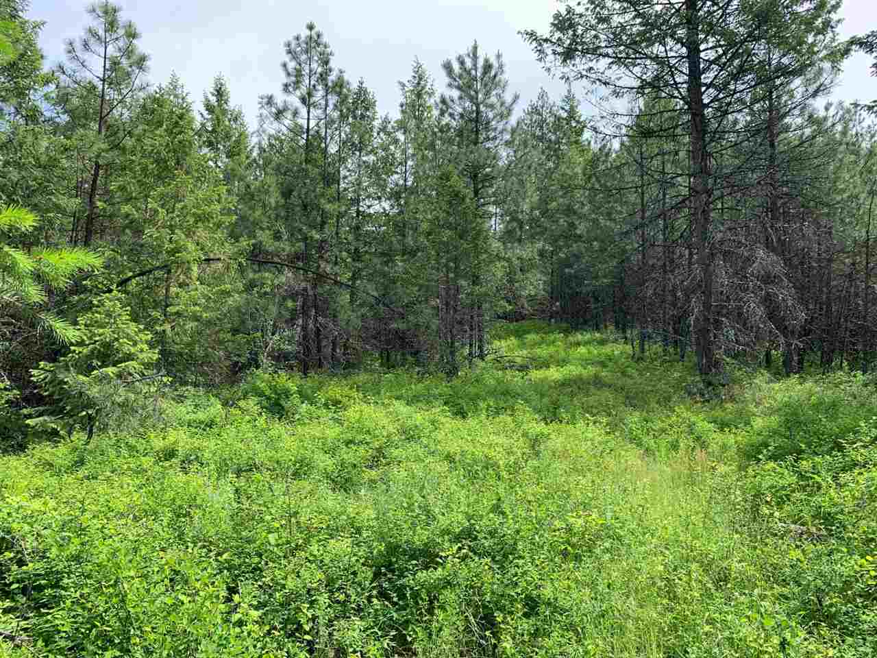 41-xx Springdale-Hunters Road Springdale, WA 99173 - Photo 11 of 18