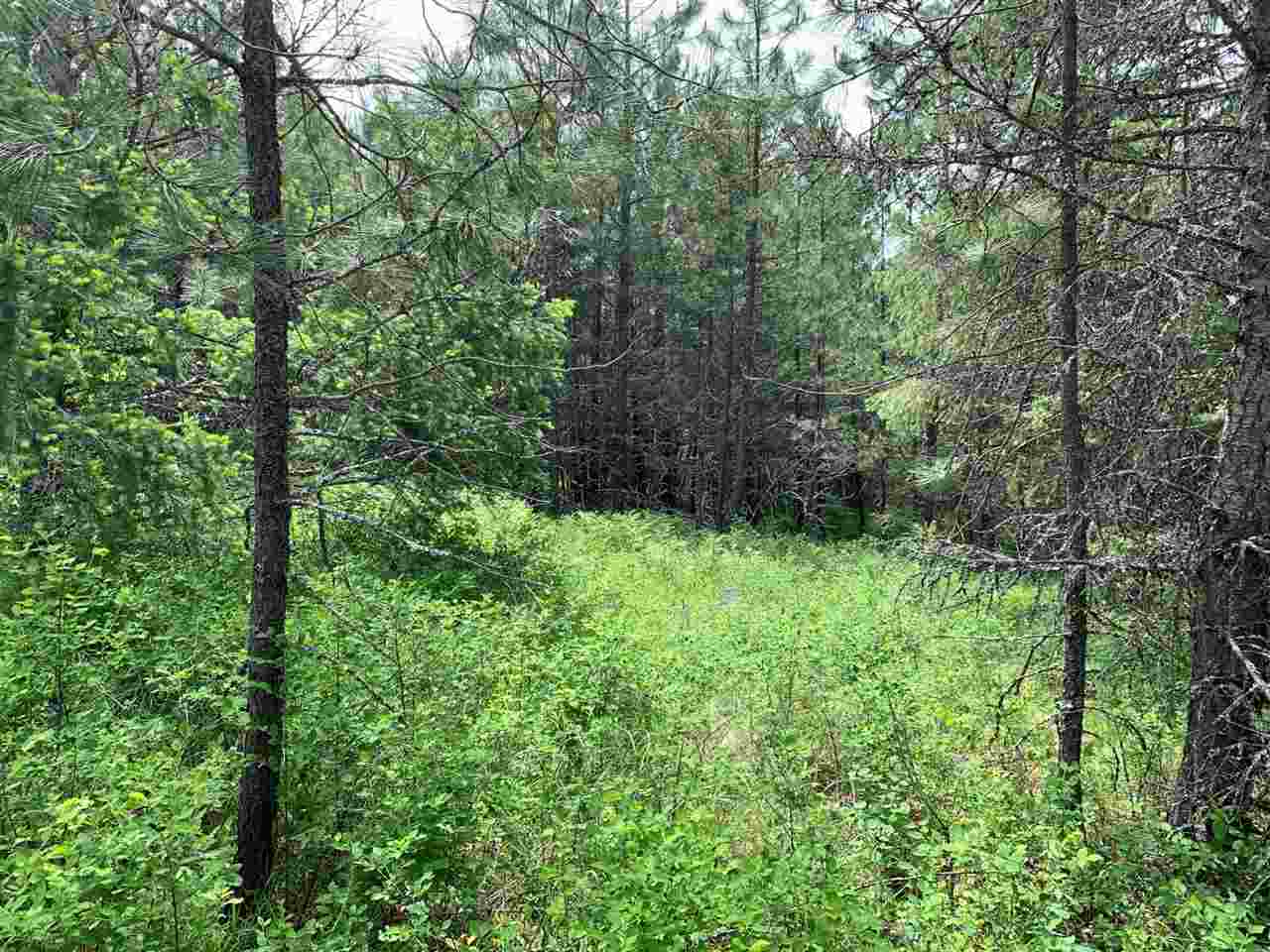 41-xx Springdale-Hunters Road Springdale, WA 99173 - Photo 12 of 18
