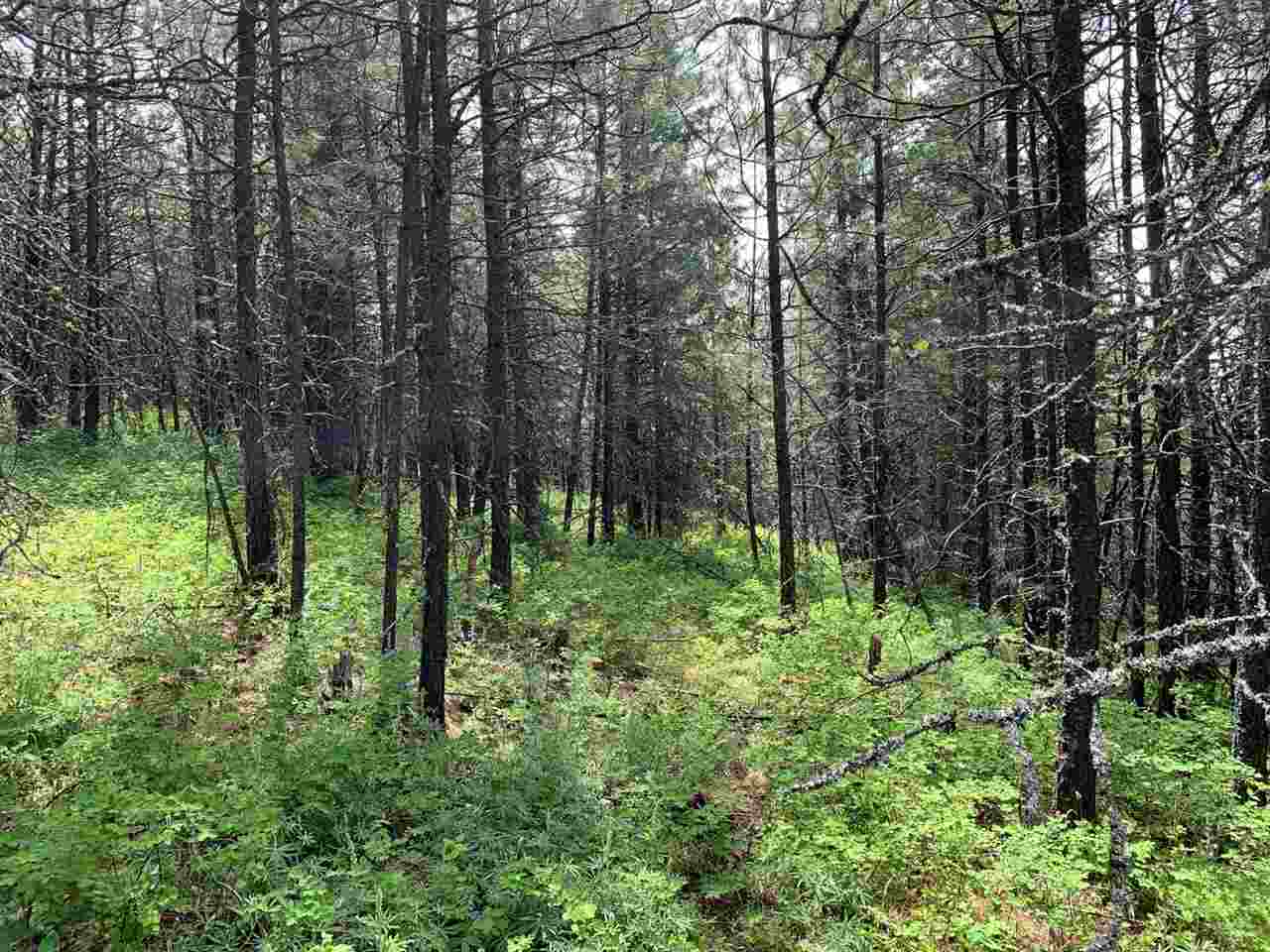 41-xx Springdale-Hunters Road Springdale, WA 99173 - Photo 13 of 18