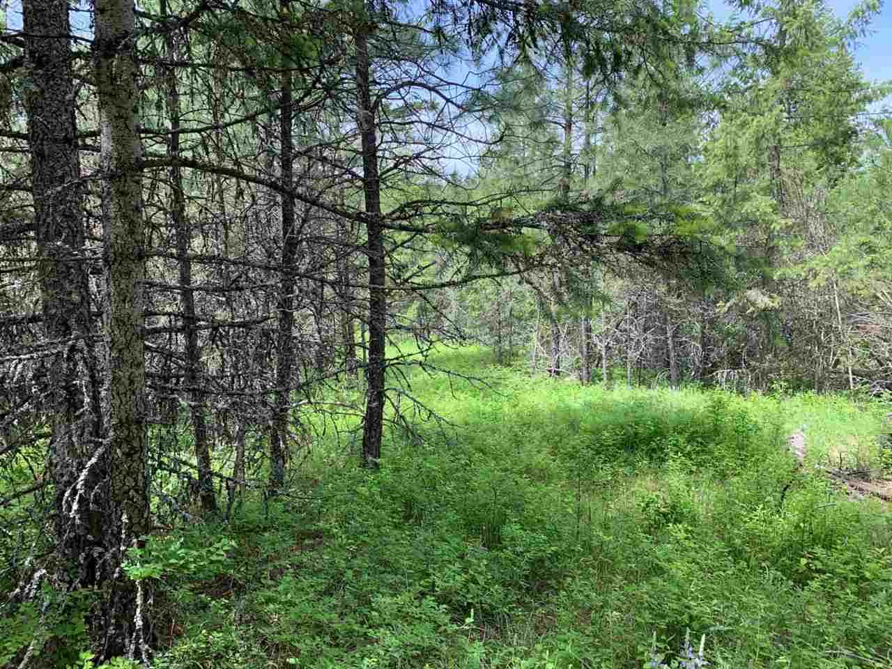 41-xx Springdale-Hunters Road Springdale, WA 99173 - Photo 15 of 18