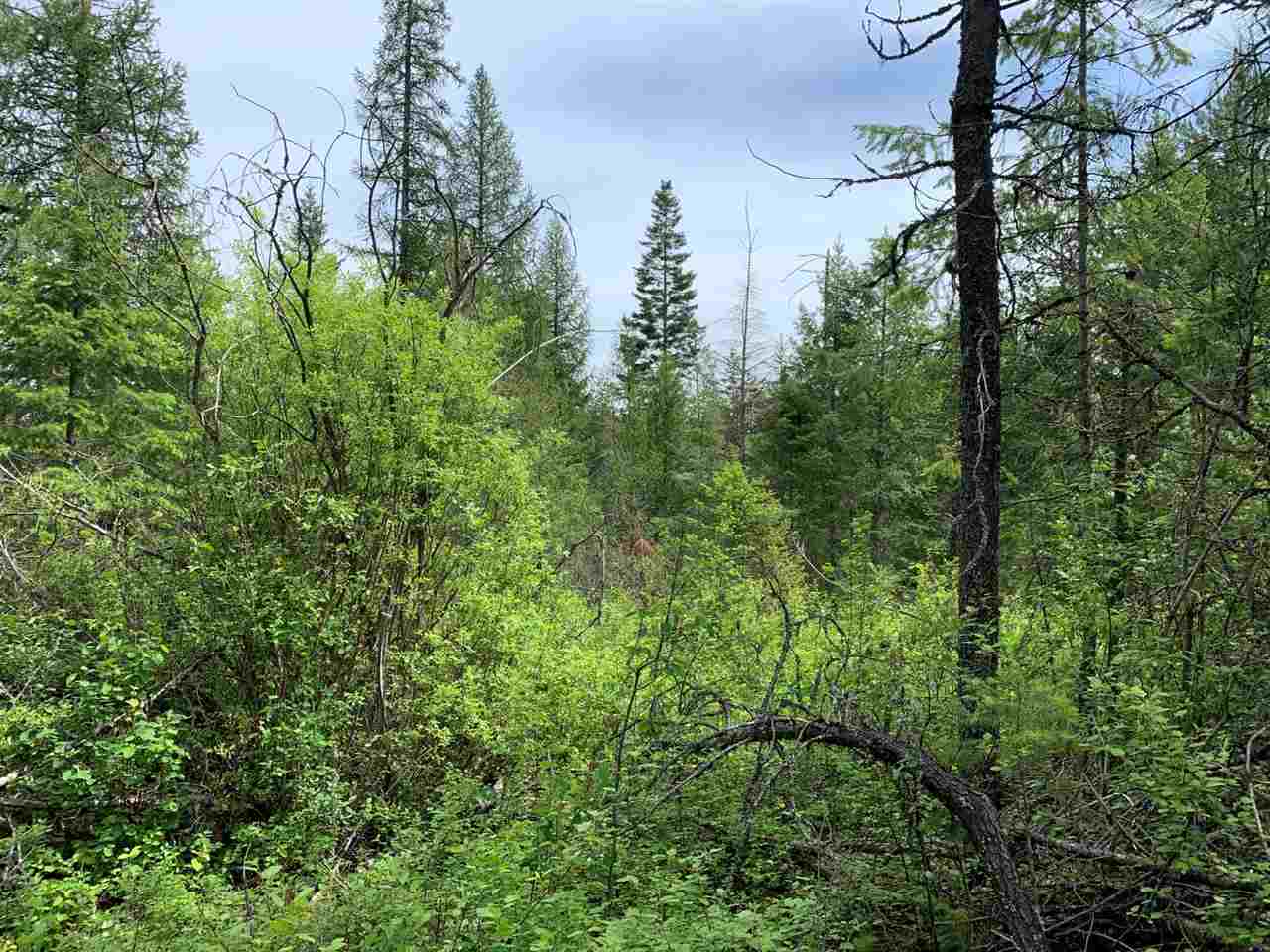41-xx Springdale-Hunters Road Springdale, WA 99173 - Photo 3 of 18