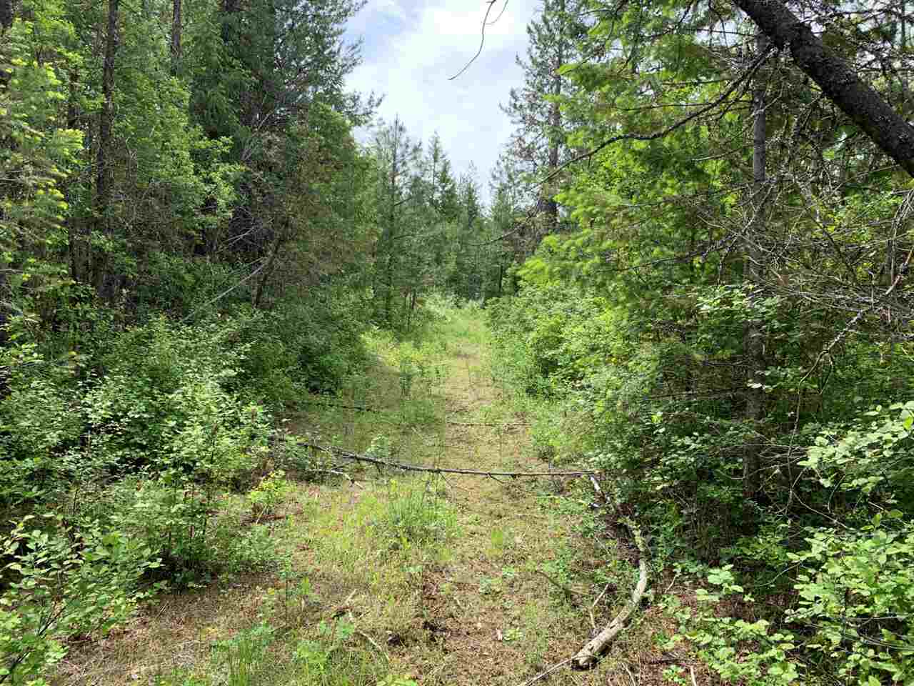 41-xx Springdale-Hunters Road Springdale, WA 99173 - Photo 5 of 18