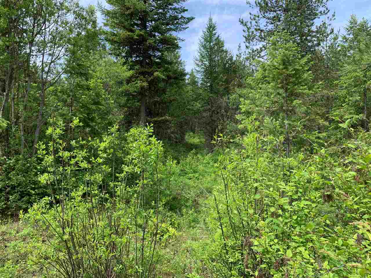 41-xx Springdale-Hunters Road Springdale, WA 99173 - Photo 6 of 18