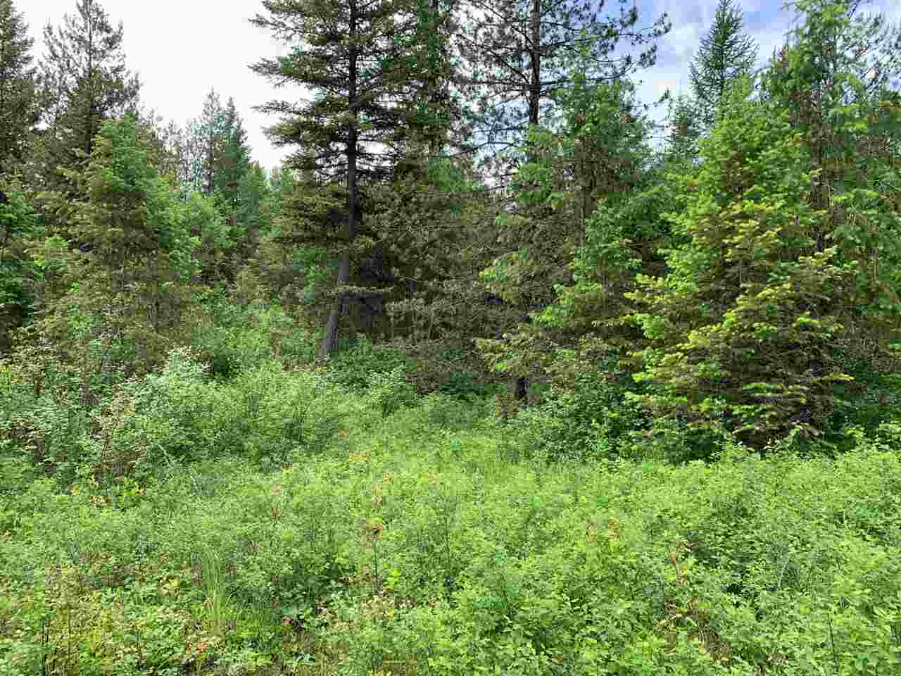 41-xx Springdale-Hunters Road Springdale, WA 99173 - Photo 10 of 18