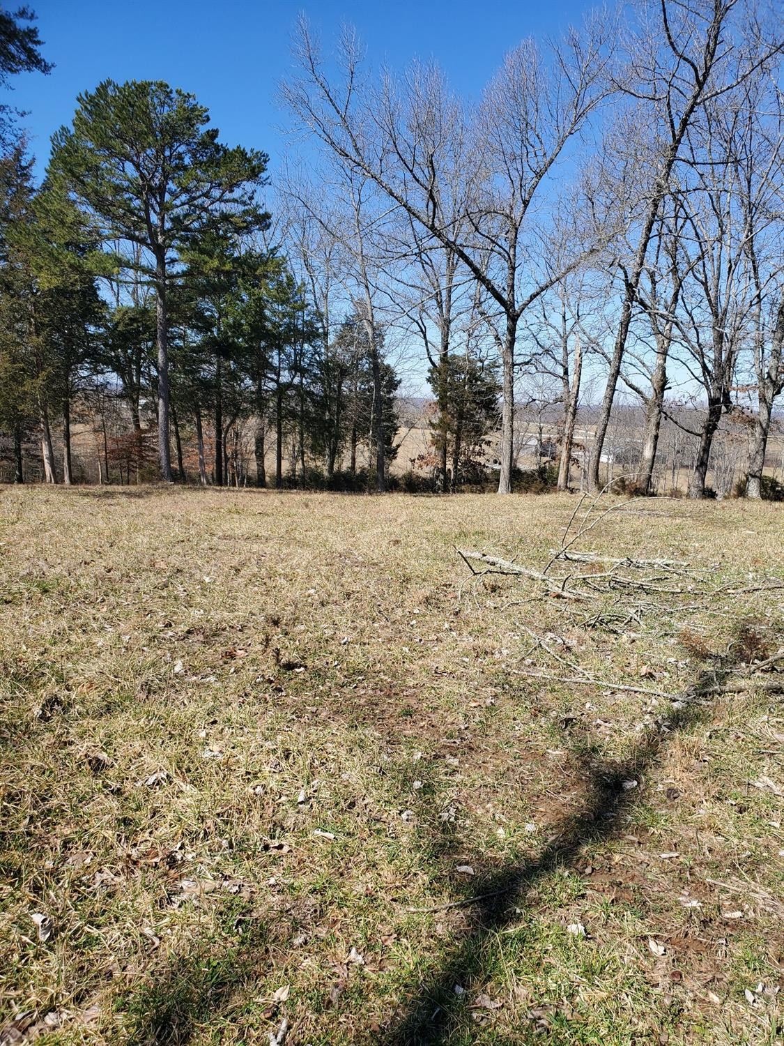 9999 Charles Elgin Road Eubank, KY 42567 - Photo 3 of 7 Photo 3