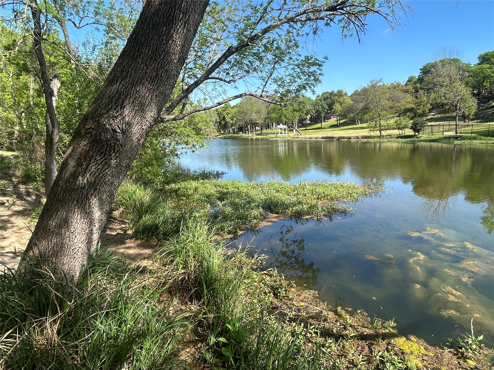 320 Ridgecrest Road Georgetown, TX 78628 - Photo 34 of 39 a view of a lake with houses in the back