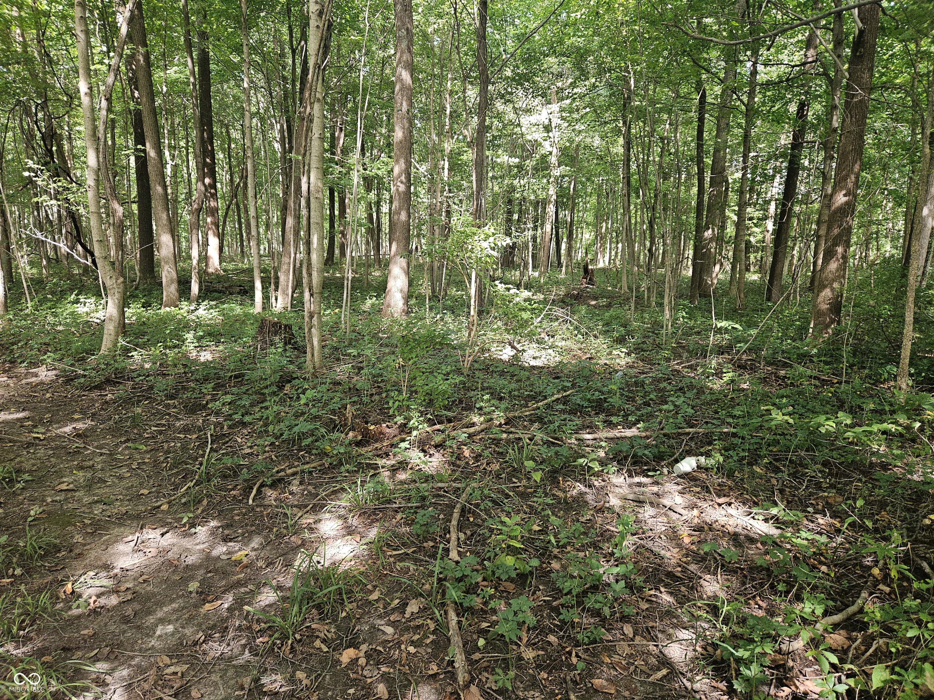 4078 East St Rd 28 Road Tipton, IN 46072 - Photo 4 of 6 Gallery Image 4