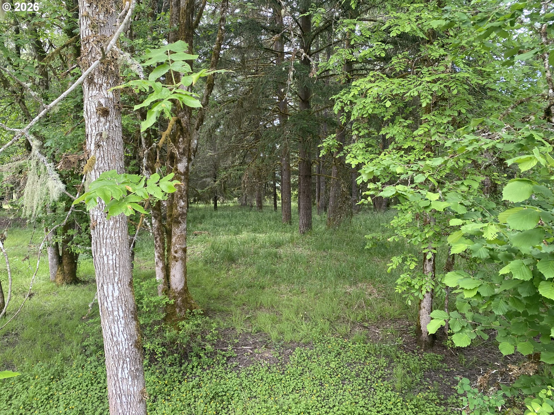 38102 Queens Road Marcola, OR 97454 - Photo 44 of 48