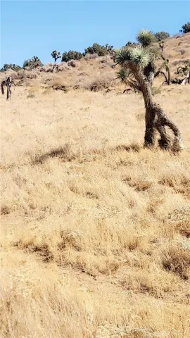 a view of beach and ocean