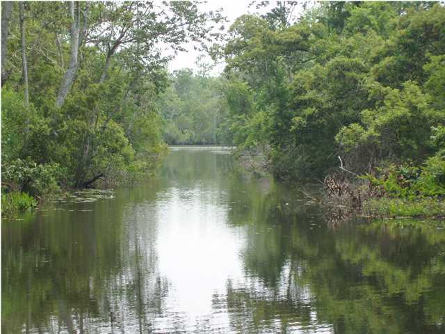 586 Stillwater Road Freeport, FL 32439 - Photo 2 of 18 Gallery Image 2
