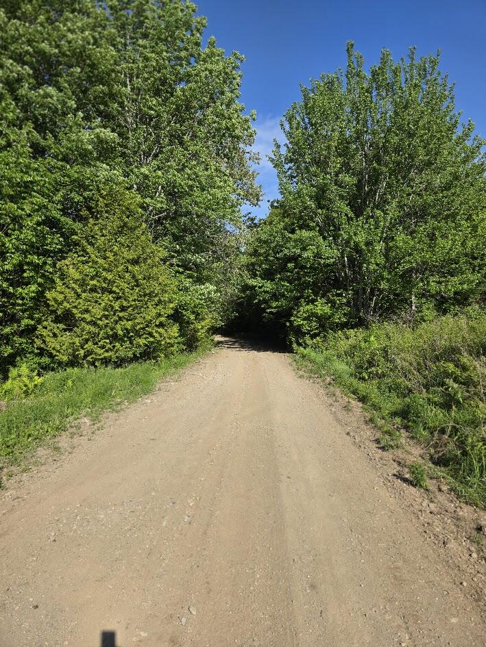 Lot 10 Davis Brook Road Amity, ME 04471 - Photo 10 of 12 20260609_164130