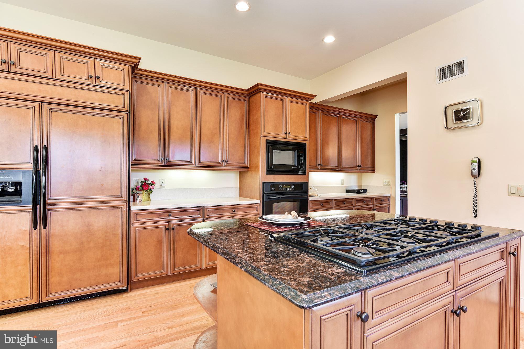 13047 Hall Shop Road Highland, MD 20777 - Photo 12 of 58 Custom Gourmet Kitchen