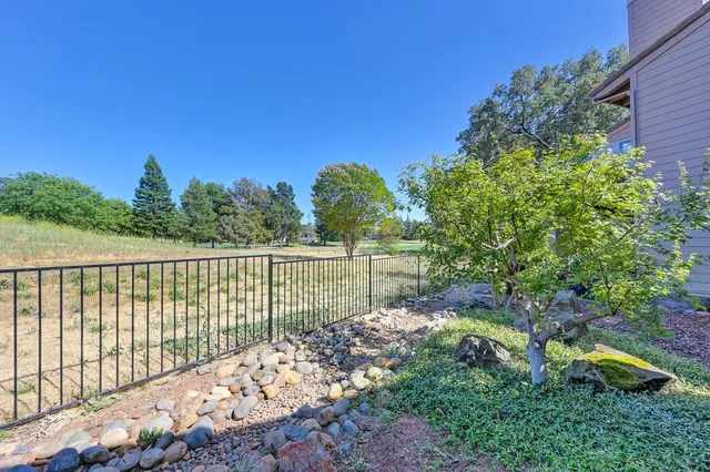 a view of a backyard with plants