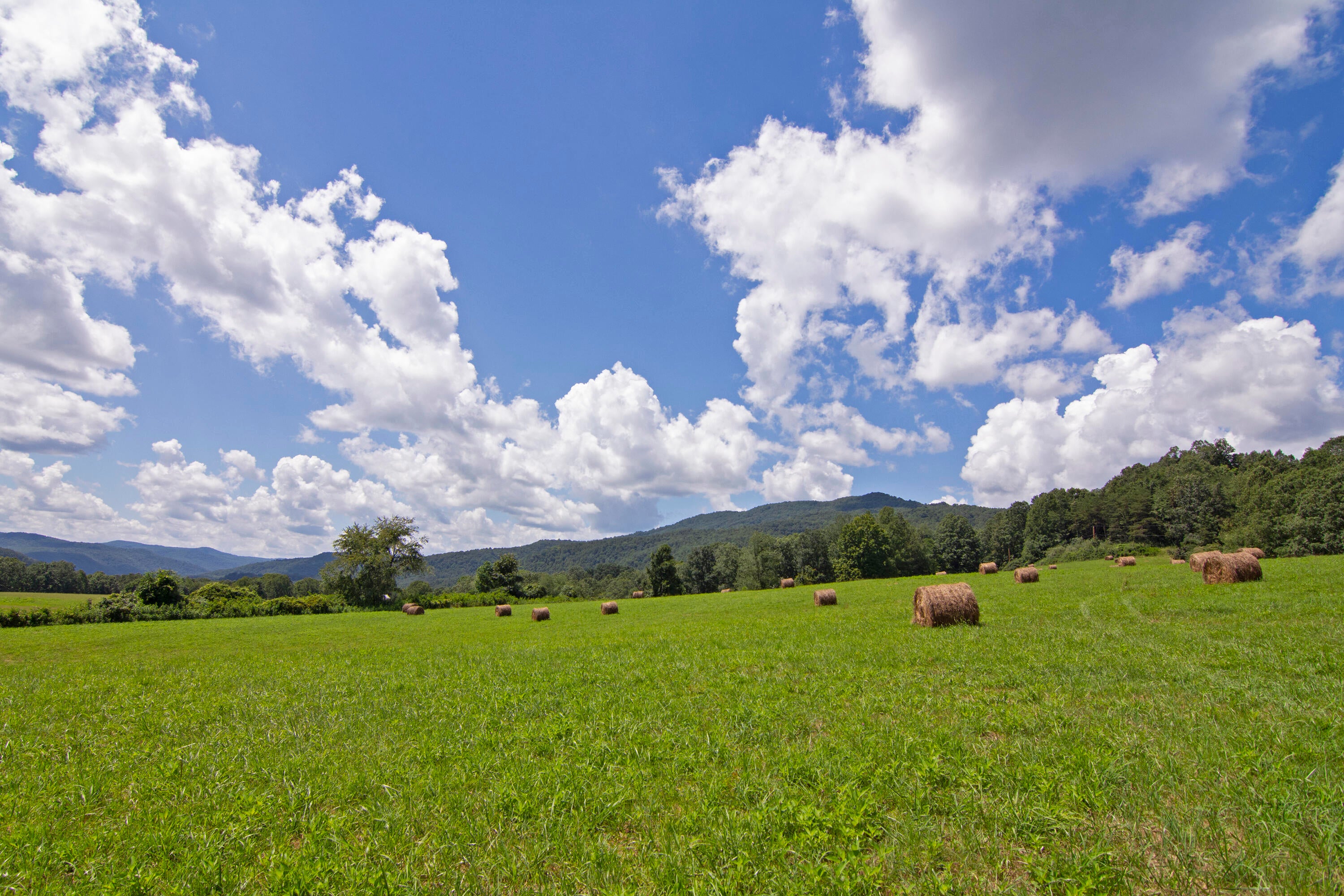 276 Lone Willow Mountain Road Sandstone, WV 25985 - Photo 60 of 67 Gallery Image 60