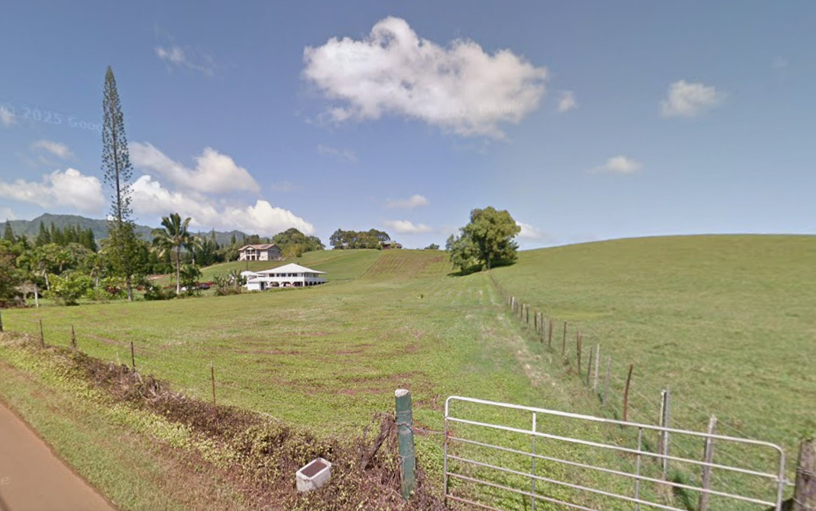 1 Kipapa Road Kapaa, HI 96746 - Photo 3 of 7