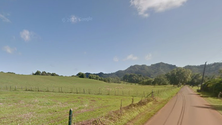 1 Kipapa Road Kapaa, HI 96746 - Photo 4 of 7 a view of a lake with a mountain