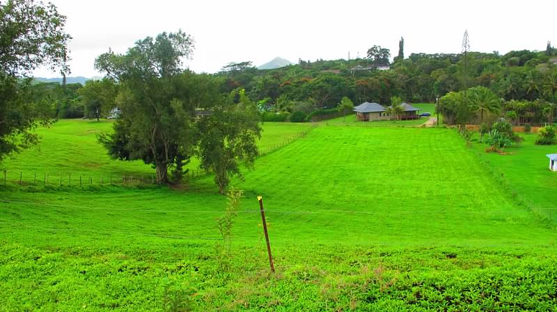 1 Kipapa Road Kapaa, HI 96746 - Photo 5 of 7 a view of an house with a backyard