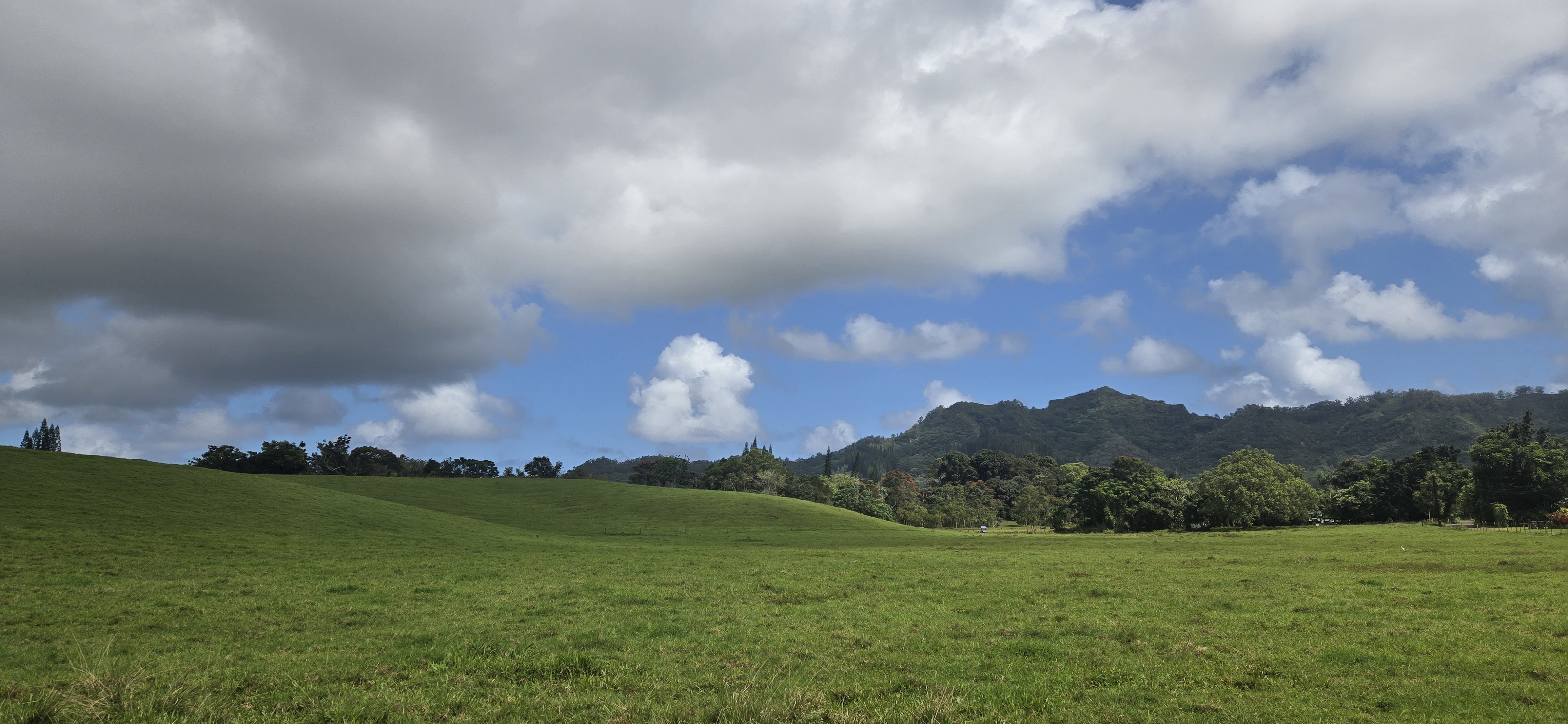 1 Kipapa Road Kapaa, HI 96746 - Photo 6 of 7 a view of a city