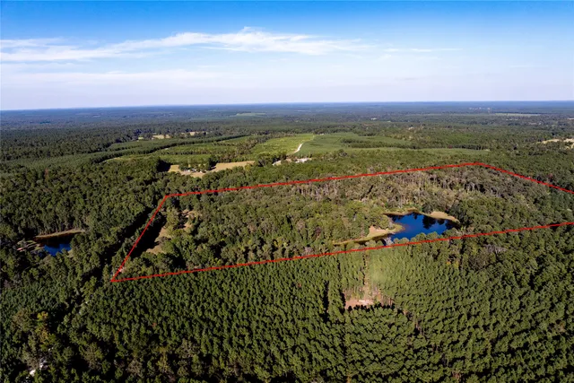 a view of a city with an ocean