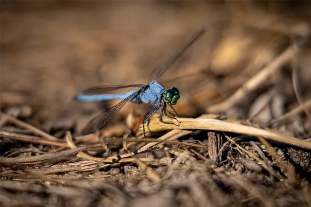 $699,500 | 3544 County Road 1170, Kennard, TX 75847