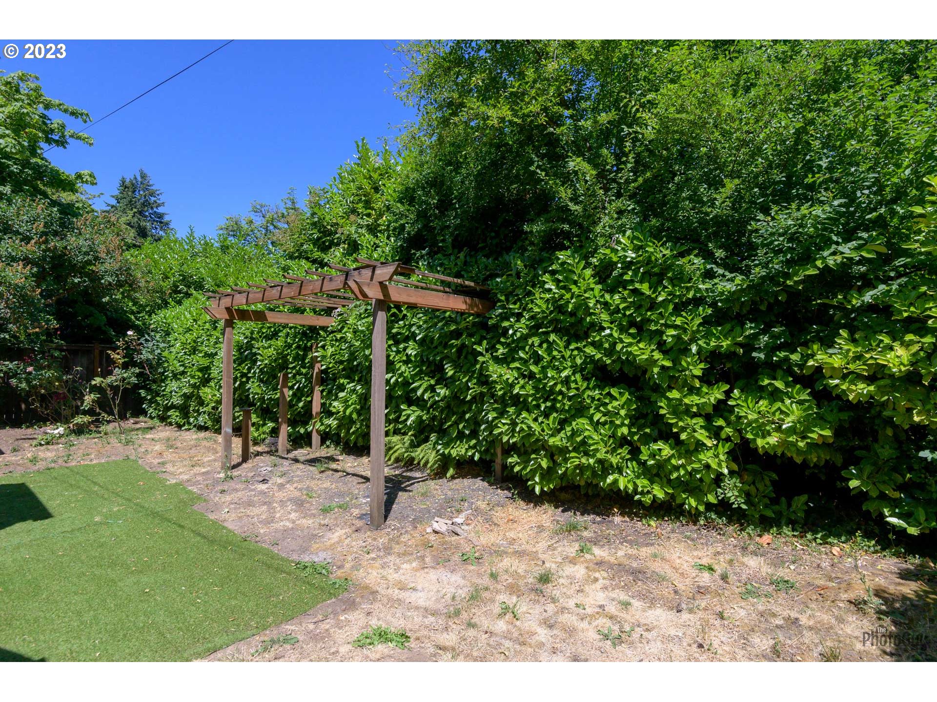 1041 Madison Street Eugene, OR 97402 - Photo 25 of 34 a view of a yard with an tree
