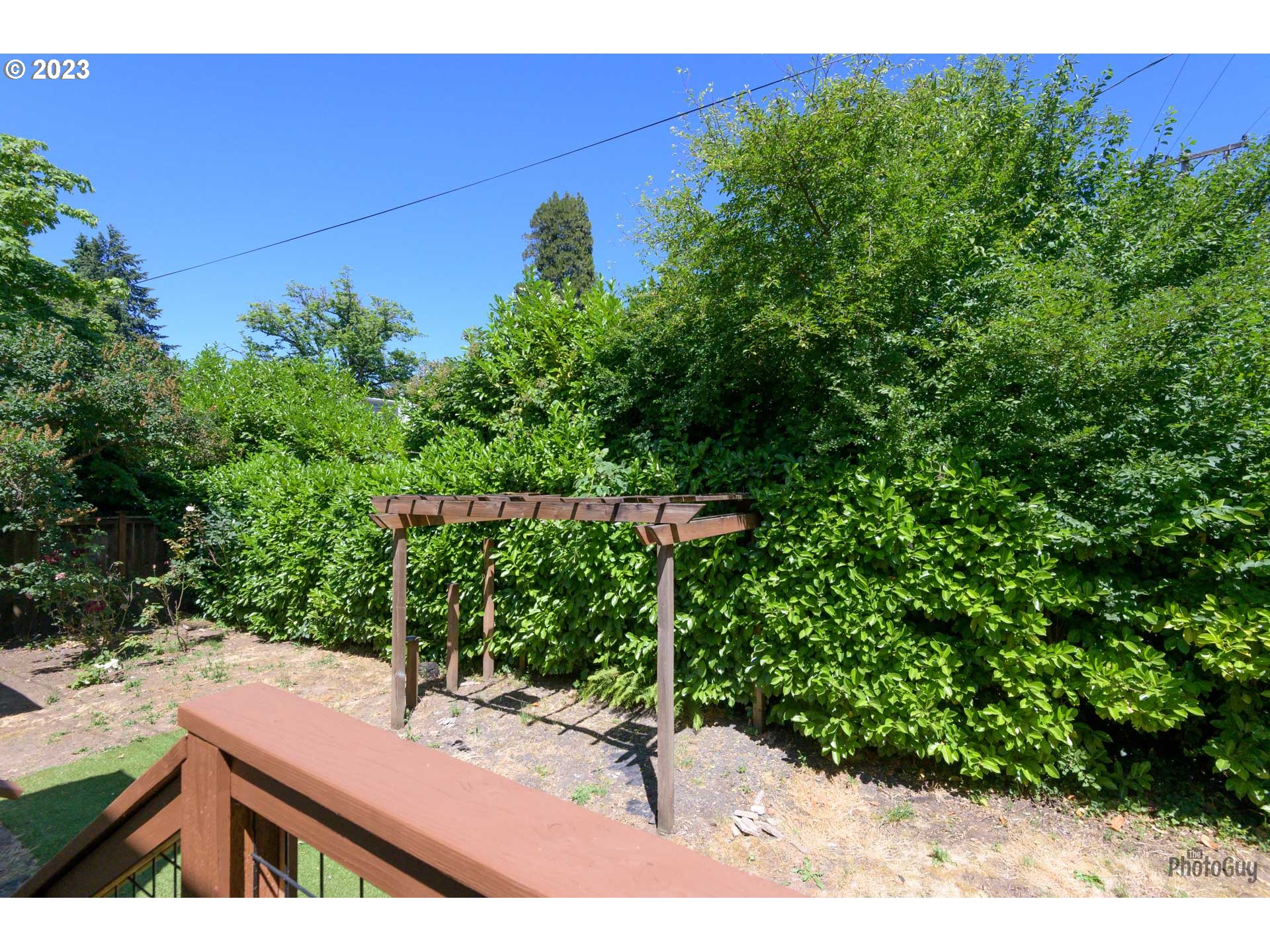 1041 Madison Street Eugene, OR 97402 - Photo 29 of 34 a view of a yard with plants